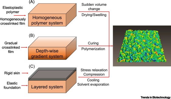 Data Interpretation & Technical Reporting
