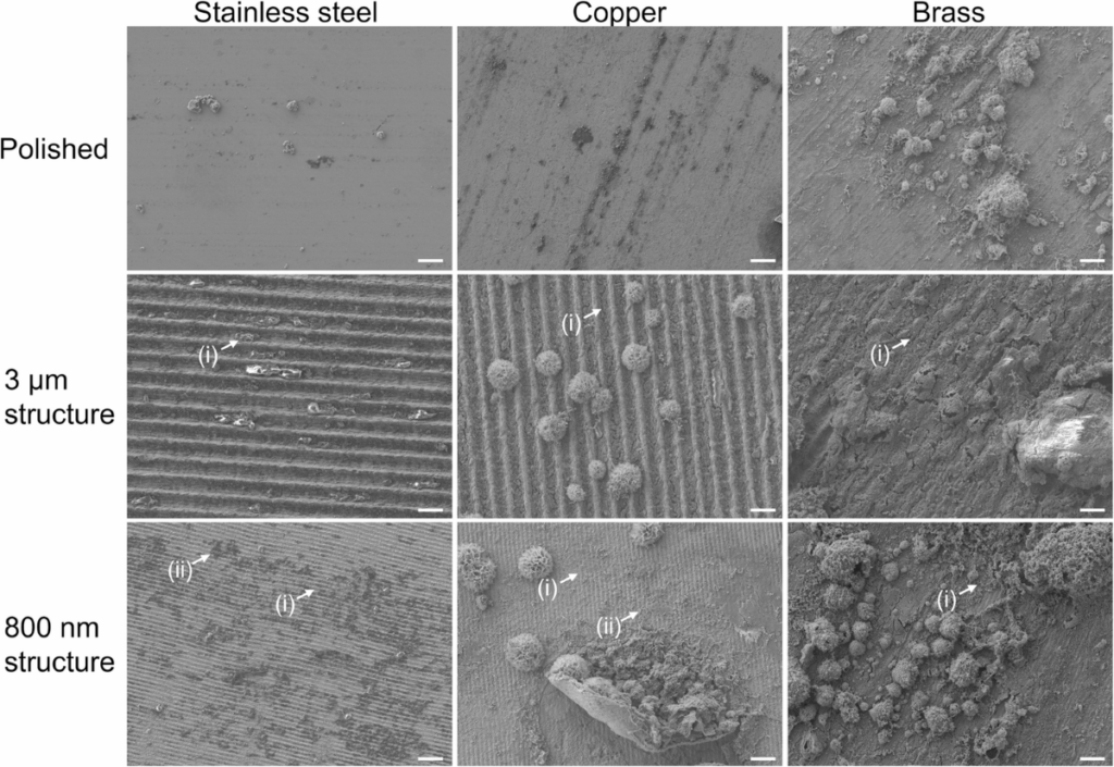 Handling a Wide Variety of Sample Types