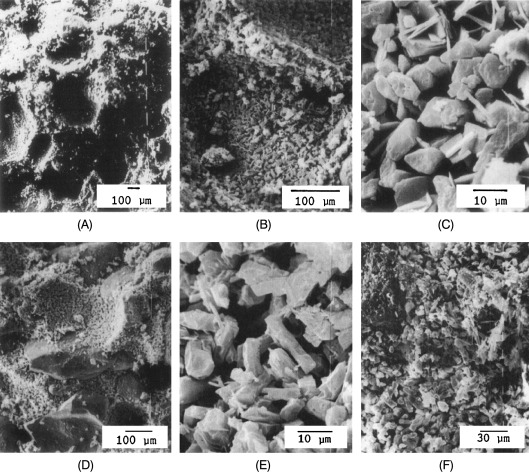 Regulatory Compliance & Industry Standards