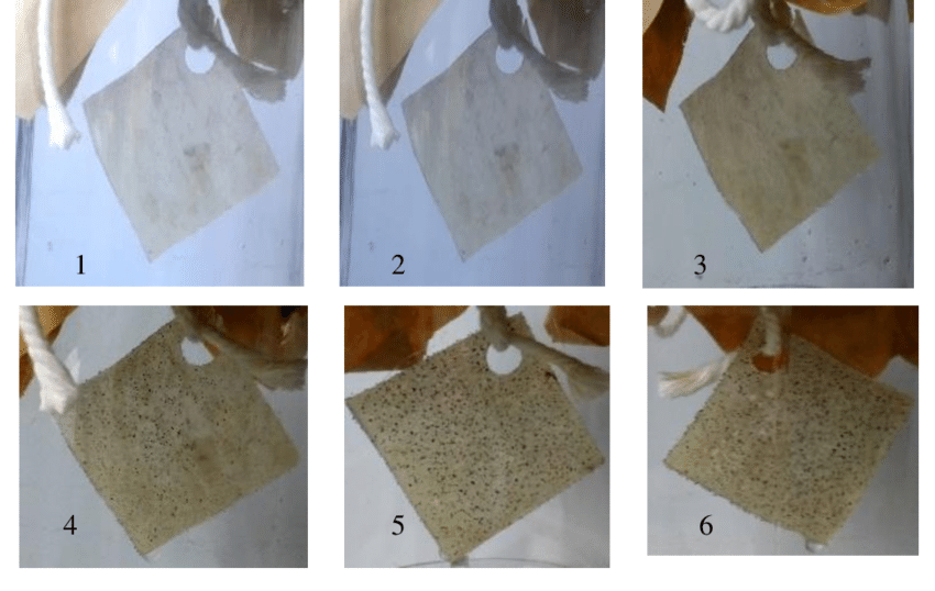 Environmental Durability & Aging Performance