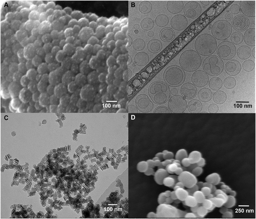 Failure Analysis & Root Cause Investigation