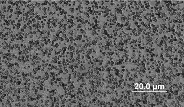 Electrical Conductivity & Resistivity Testing