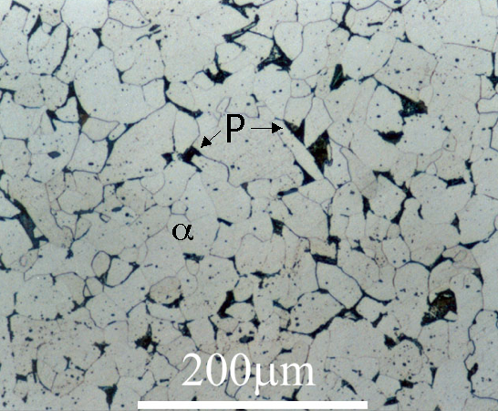Failure Analysis & Root Cause Investigation