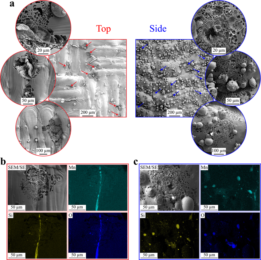 Metal & Alloy Corrosion Compatibility
