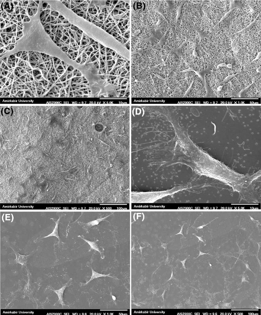 Surface Chemistry & Interface Analysis