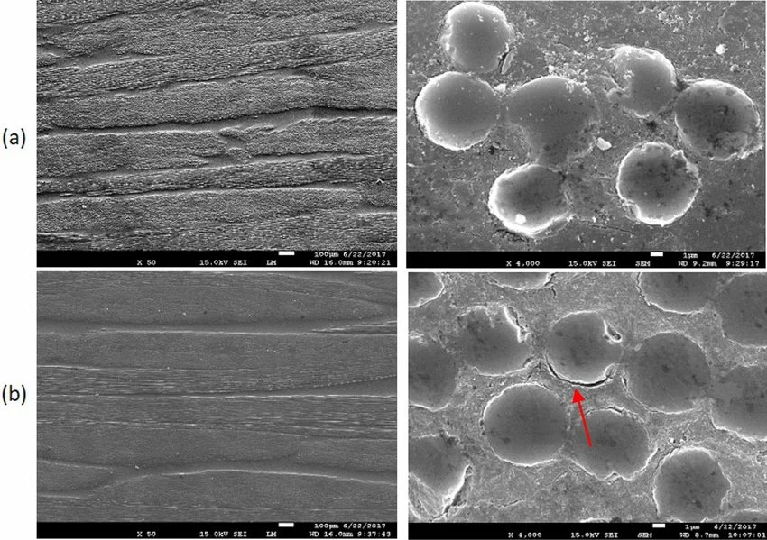 Lifecycle Performance & Circular Economy Validation