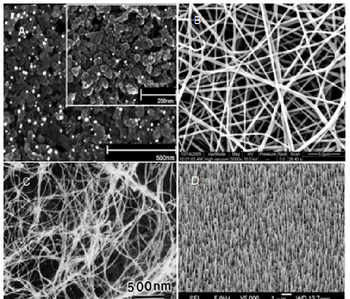 Optical Microscopy & Surface Examination