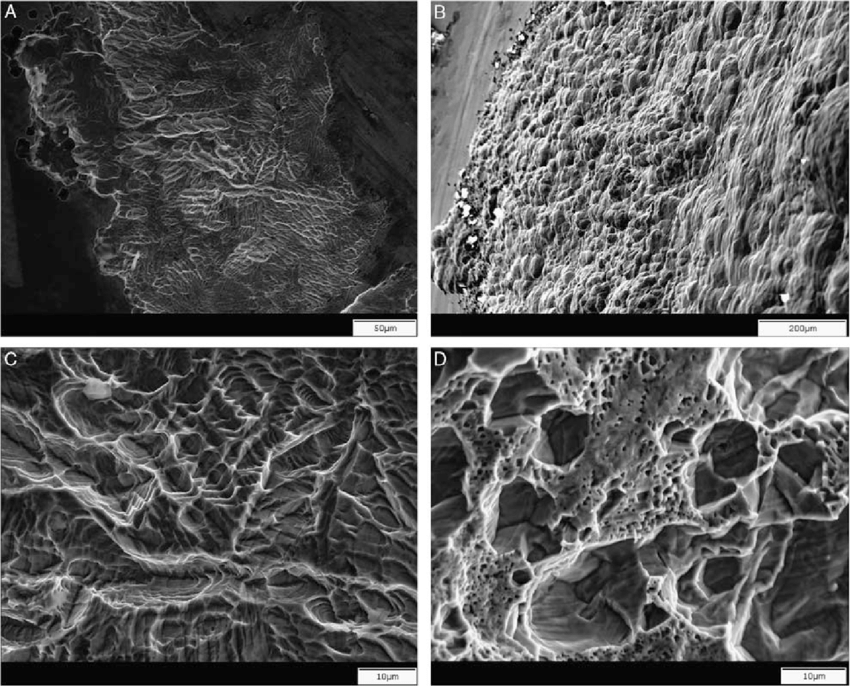 Quality Assurance & Regulatory Documentation