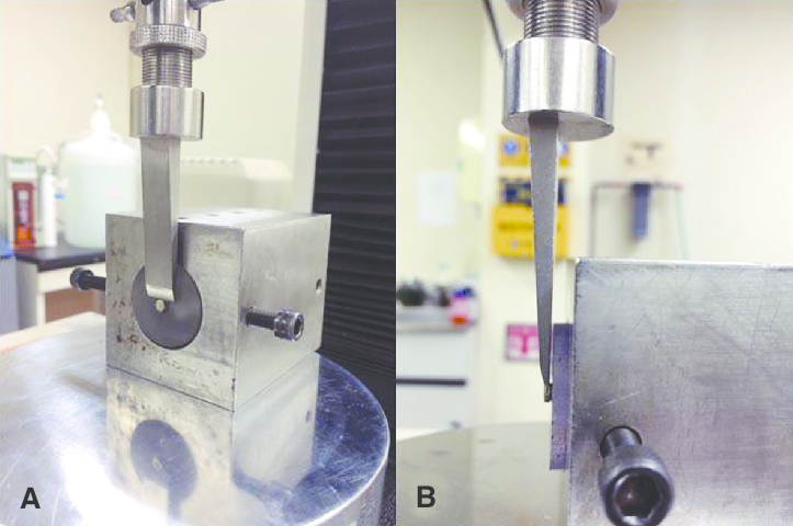 Supporting Innovation in Adhesive & Elastomer Technologies