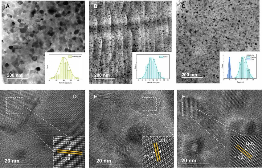 Transmission Electron Microscopy (TEM)