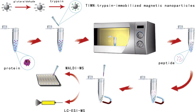 Quality Control and Regulatory Compliance