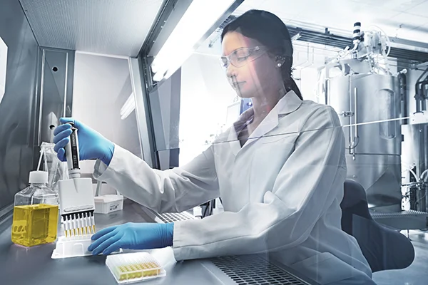 Regulatory Standards and Global Compliance