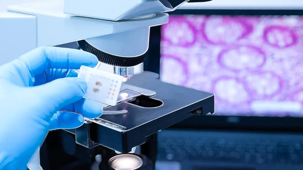 Supporting Innovation Across Healthcare Industries