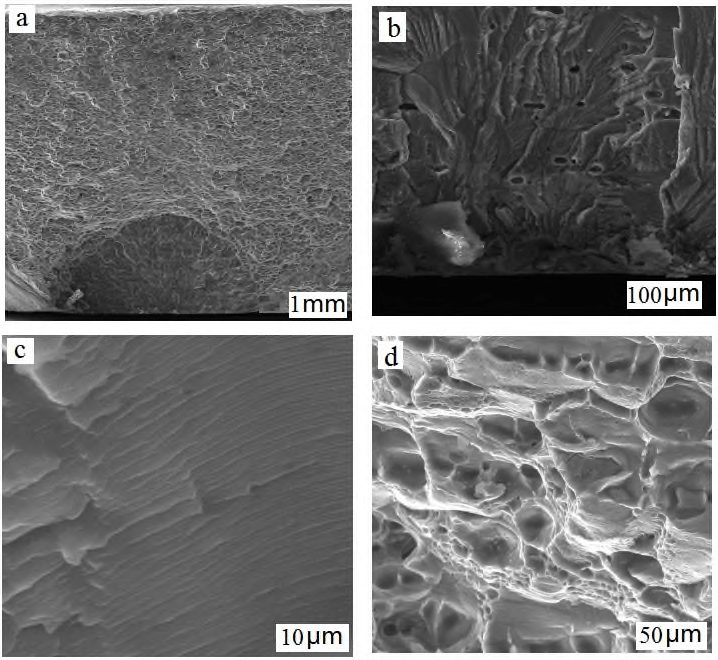 Partner with Genuine Testing for Materials Failure Analysis
