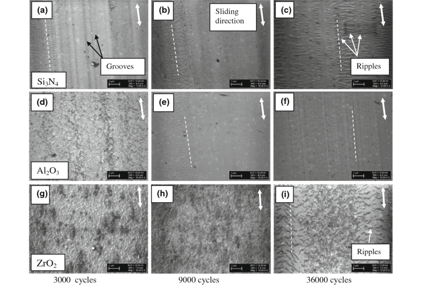 Supporting Product Development and Innovation