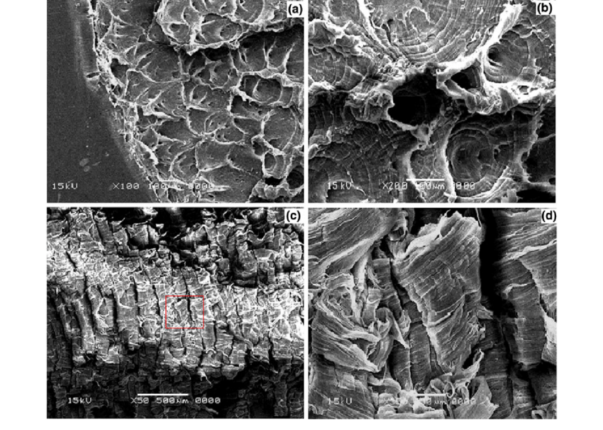 Thermal Performance and Temperature Resistance