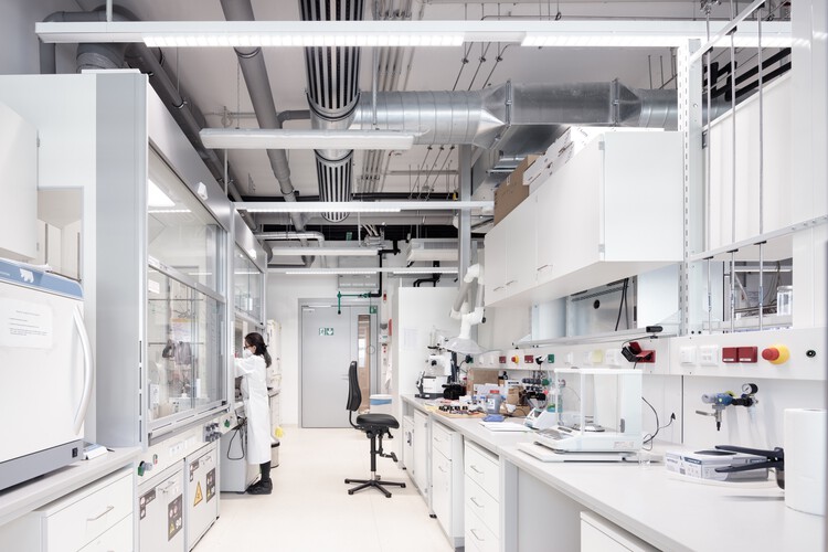 From Concept to Molecule: Our Scientific Approach